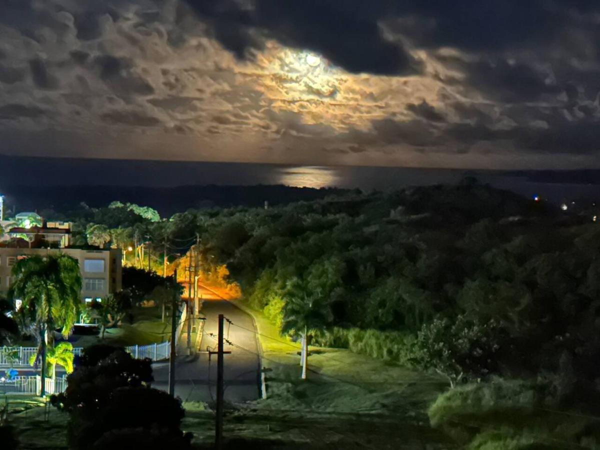 Ocean & Mountains View, Marina, Ferry, Vista Mar, Costa Esmeralda Ceiba Екстер'єр фото