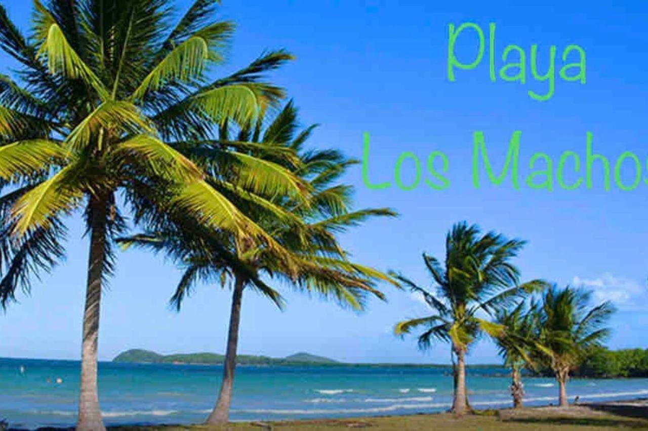 Ocean & Mountains View, Marina, Ferry, Vista Mar, Costa Esmeralda Ceiba Екстер'єр фото