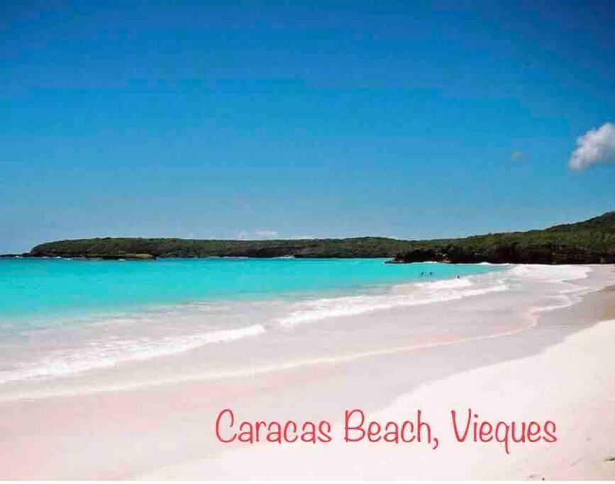 Ocean & Mountains View, Marina, Ferry, Vista Mar, Costa Esmeralda Ceiba Екстер'єр фото