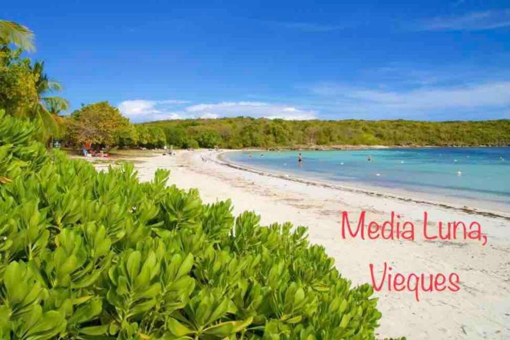 Ocean & Mountains View, Marina, Ferry, Vista Mar, Costa Esmeralda Ceiba Екстер'єр фото